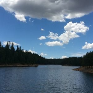 Meet your Posher, Celeste